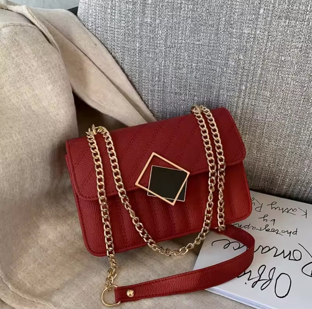 Premium purse Bag